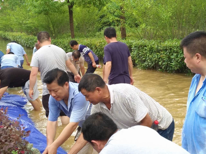 微信圖片_20170703155012.jpg 微信圖片_20170703155012.jpg