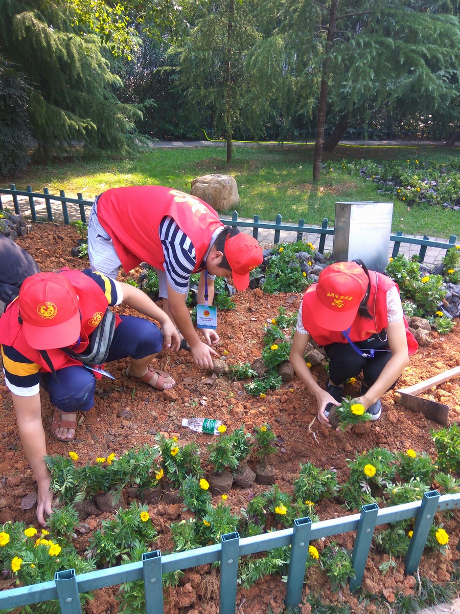 湘電 白石廣場(chǎng)周邊 創(chuàng)文志愿服務(wù)活動(dòng)我們?yōu)橄嫣短砭G.jpg