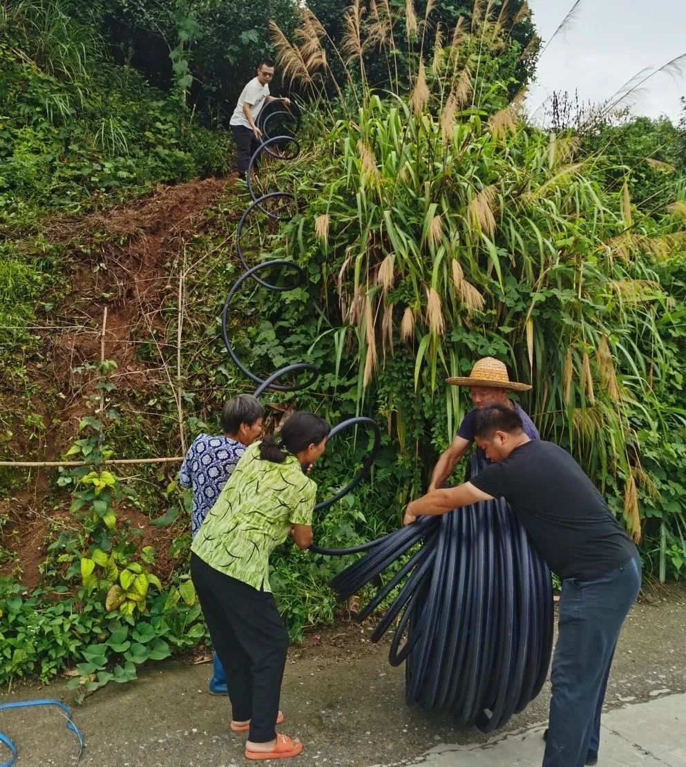 圖片3.png 圖片3.png